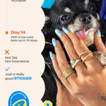 Mermaid Magic - ROS Beauty Nail Stickers