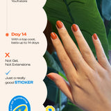 Burgundy Bliss - ROS Beauty Nail Stickers