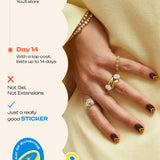 Midnight Mischief - ROS Beauty Nail Stickers