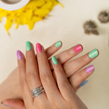 Hide & Chic